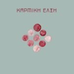 Καρμική έλξη